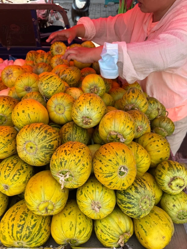 东北美人八里香花蕾甜瓜新鲜现摘脆甜多汁应季水果
