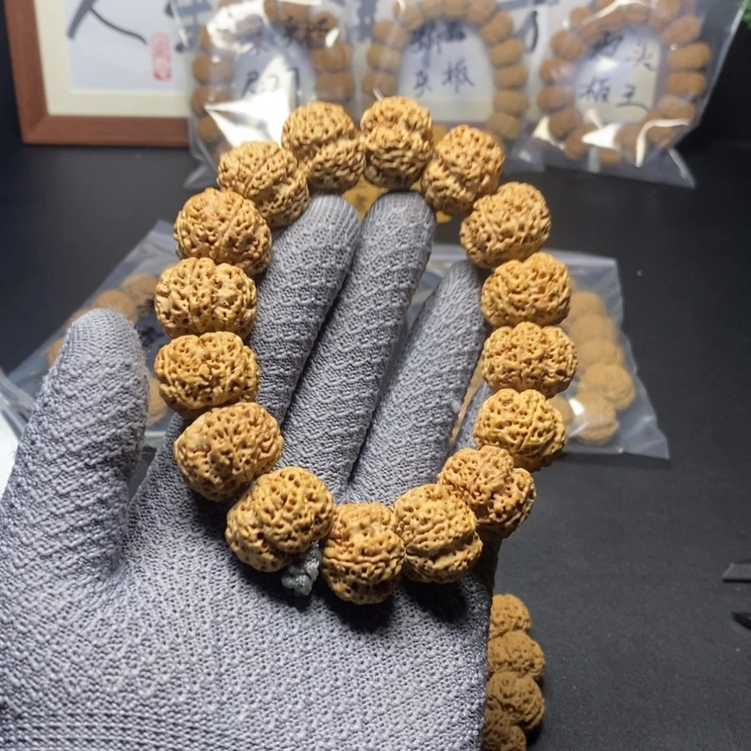 菩提金刚菩提18号