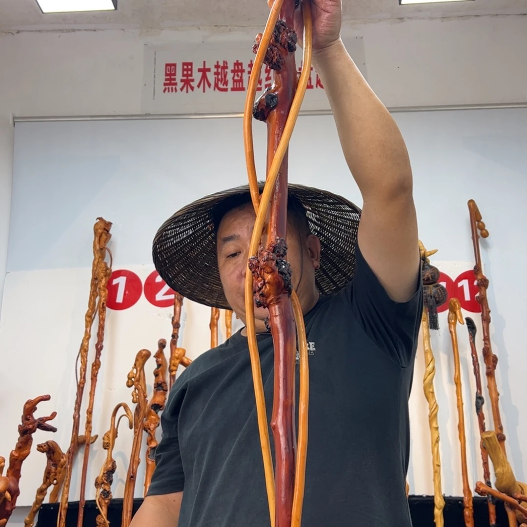安***部其他黑果木黑果木458