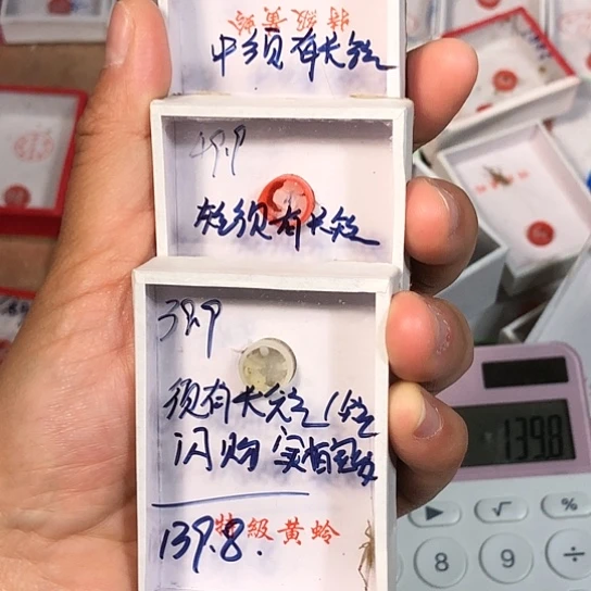 一***娆蟋蟀333333333333333