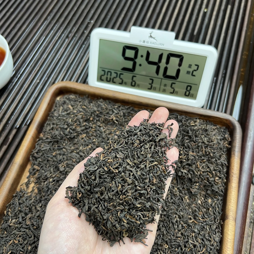 南糯山糯香金芽熟普 ① 小鹿收茶 普洱熟茶 散茶 6月3