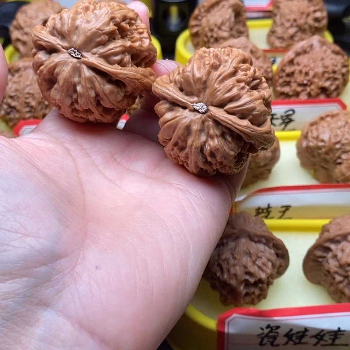 小***果大叶紫檀（黑酸枝木类）粗筋
