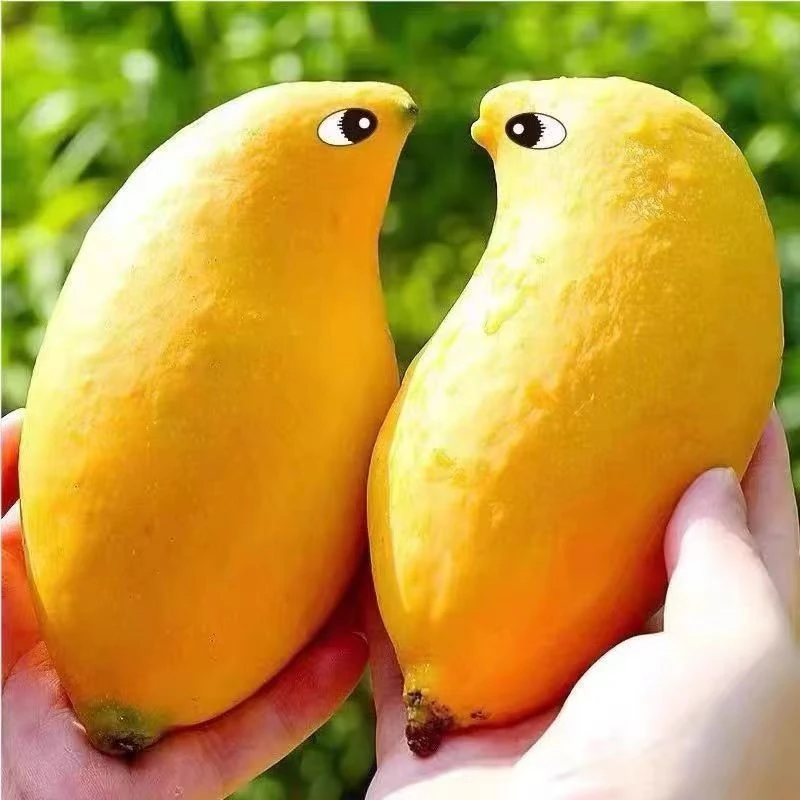 云南高山黄皮鹰嘴芒果新鲜当季超甜水果