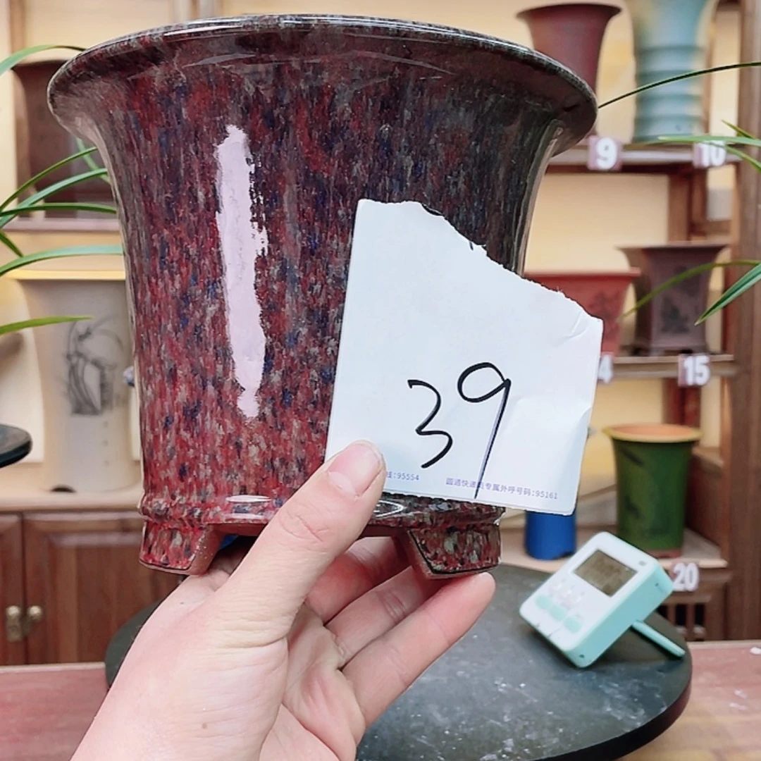 【闪购商品】紫砂花盆平*兰花7526555566855588