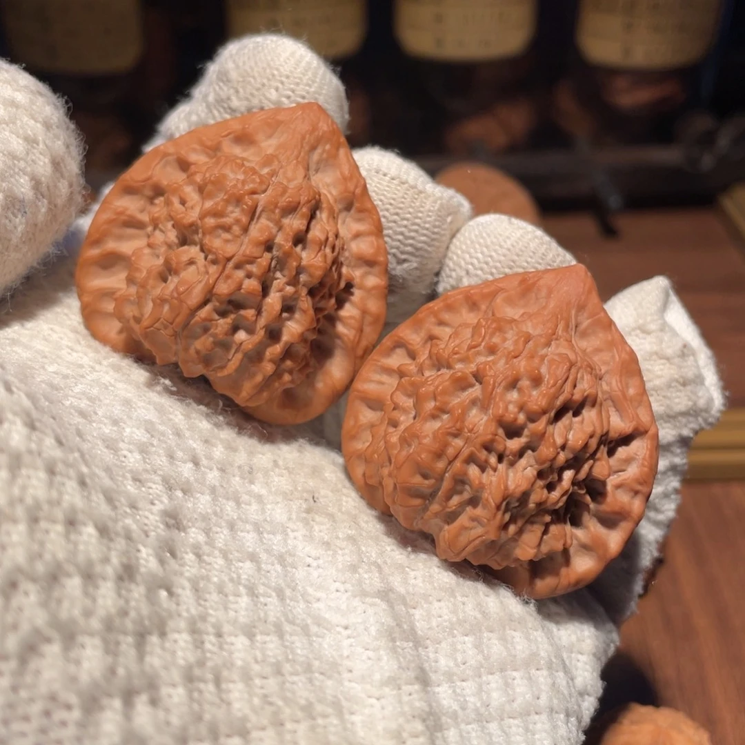 核桃42朱雀ghhhhhhh