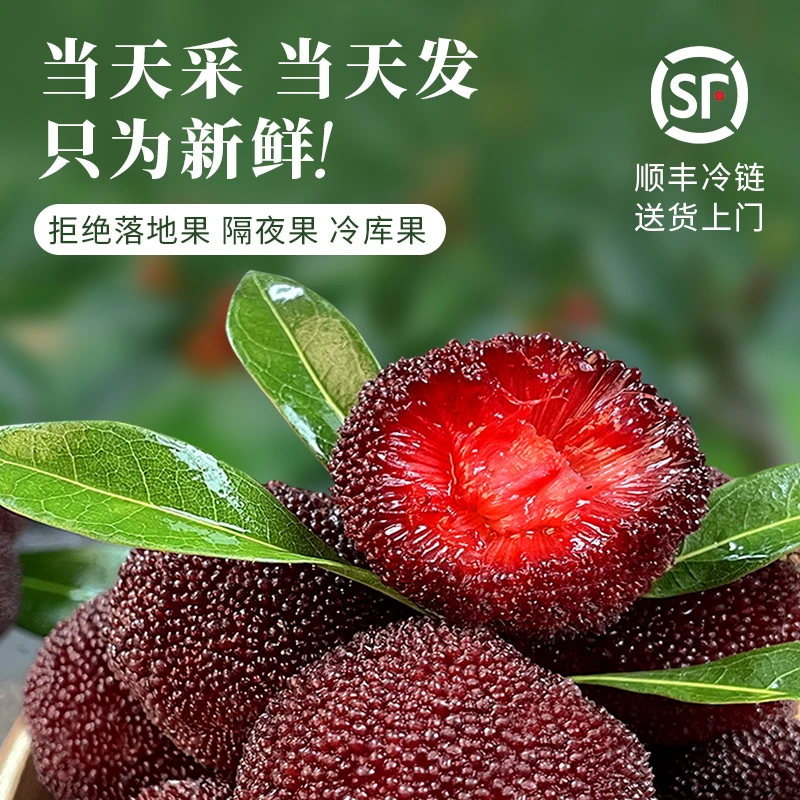 【8A精品大果】正宗仙居东魁杨梅现摘现发新鲜当季水果鲜果孕妇水果