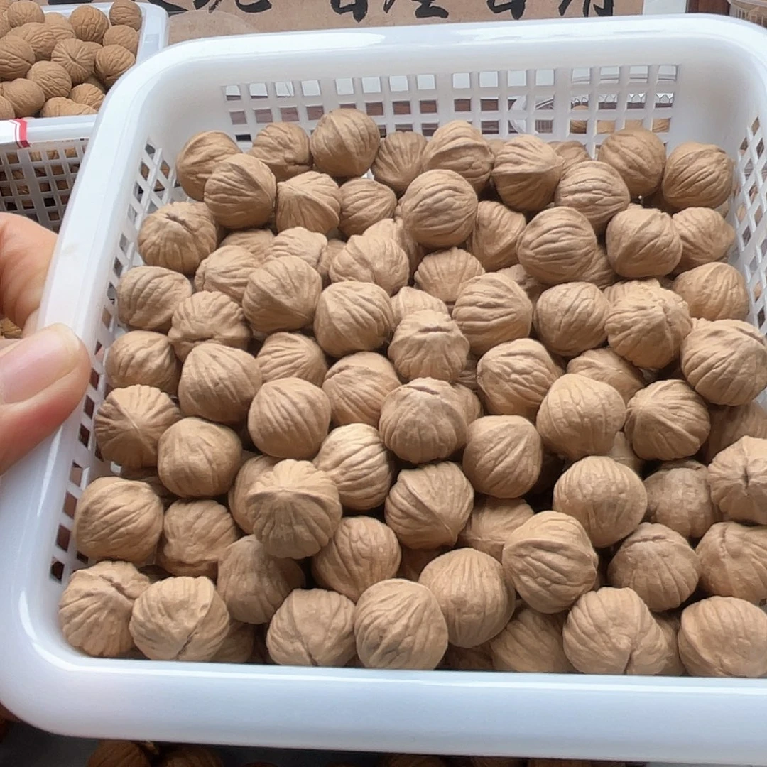 核桃后**人老树猴头灯笼散籽