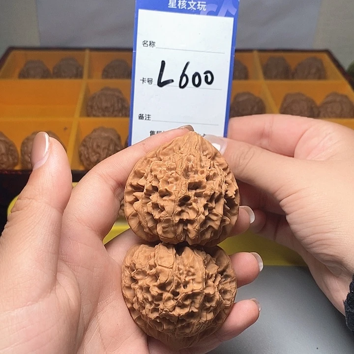吊坠龙脊菩提官帽 48