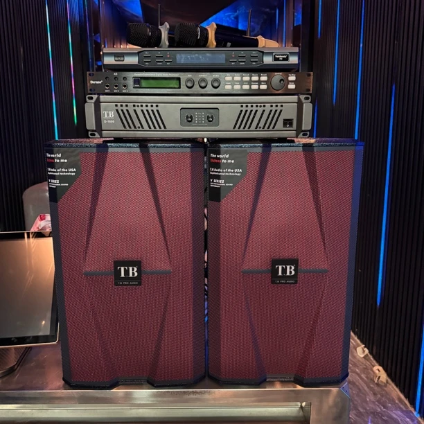 9新  美国天博保时捷高端系列12寸音响四件套