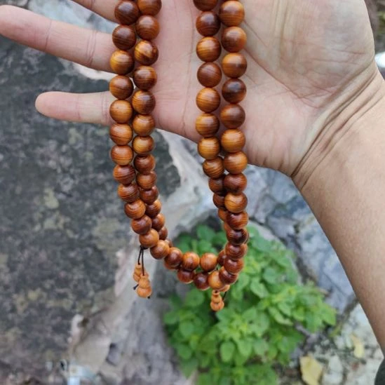 1.2黑油手持一个，太行崖柏