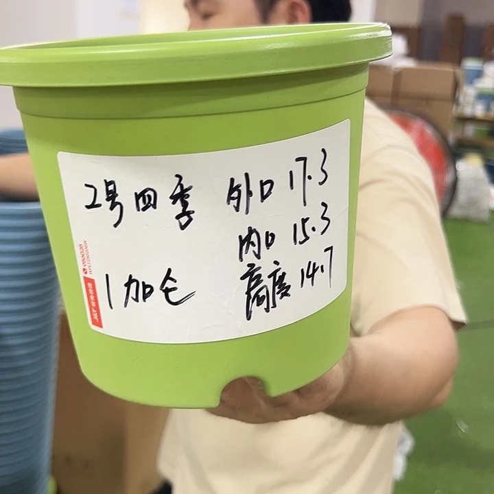 特价2号口17.3高14.7白色10只无托