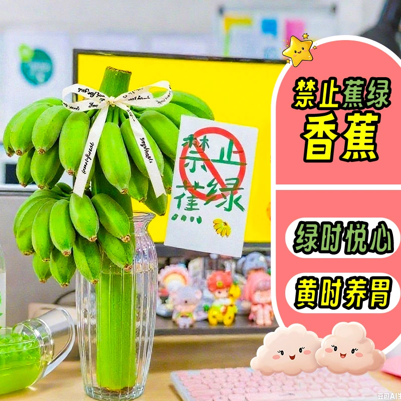 禁止蕉绿办公室水培香蕉新鲜水果桌面绿植拒绝焦虑网红水果苹果蕉