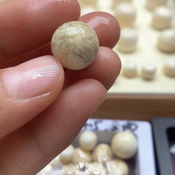 贝壳手串/手链社会牛13.2毫米圆珠