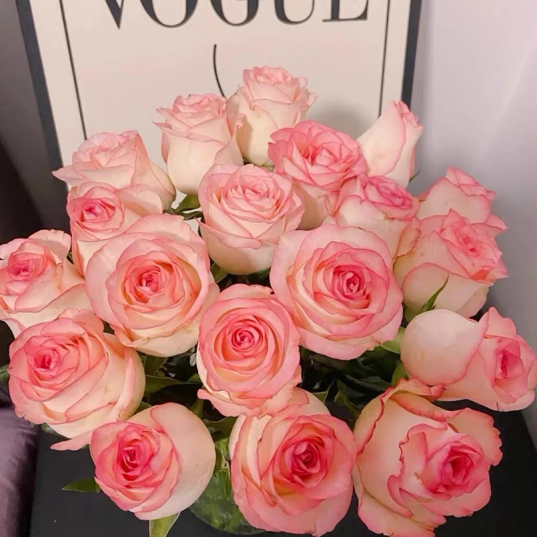 【艾莎】玫瑰鲜花家庭水养云南基地直发店铺任意两单鲜花送配草