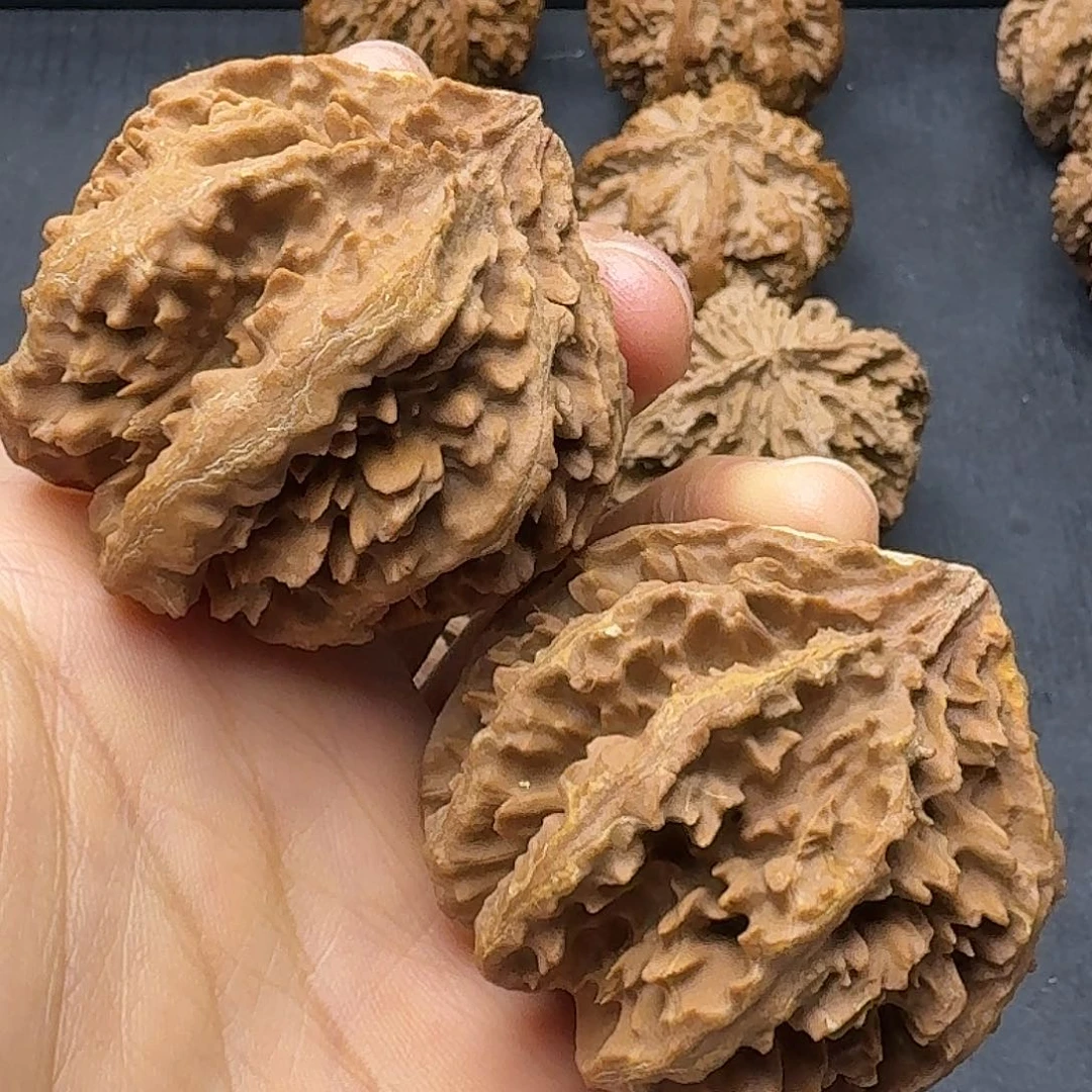 桃木突突突突突突突