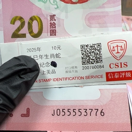 J055553776单张简易封装蛇