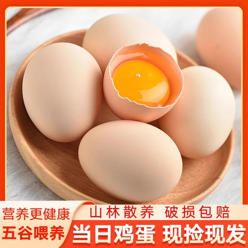 正宗农家散养土鸡蛋10枚现捡现发营养早餐新鲜鸡蛋补贴团N