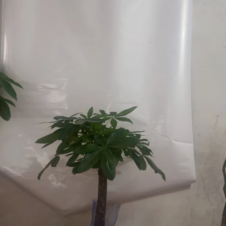 完全开放好喜欢很多很多的话
