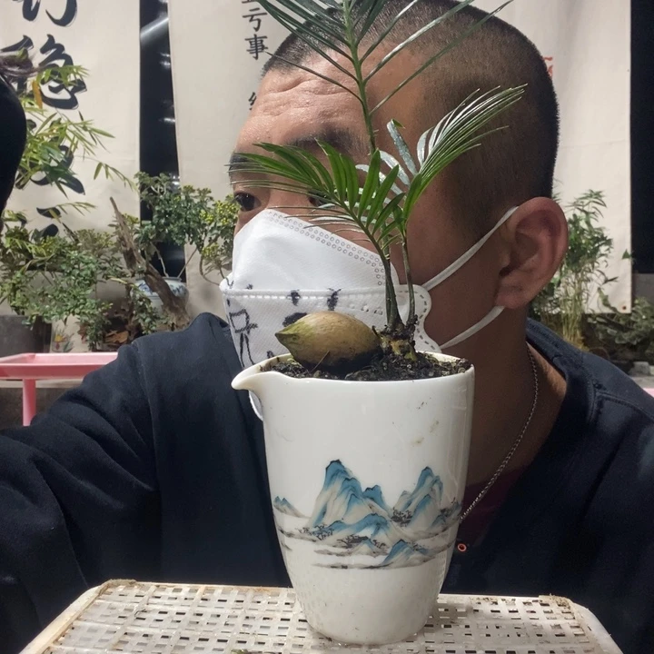 无花朵退款拉黑拉黑82