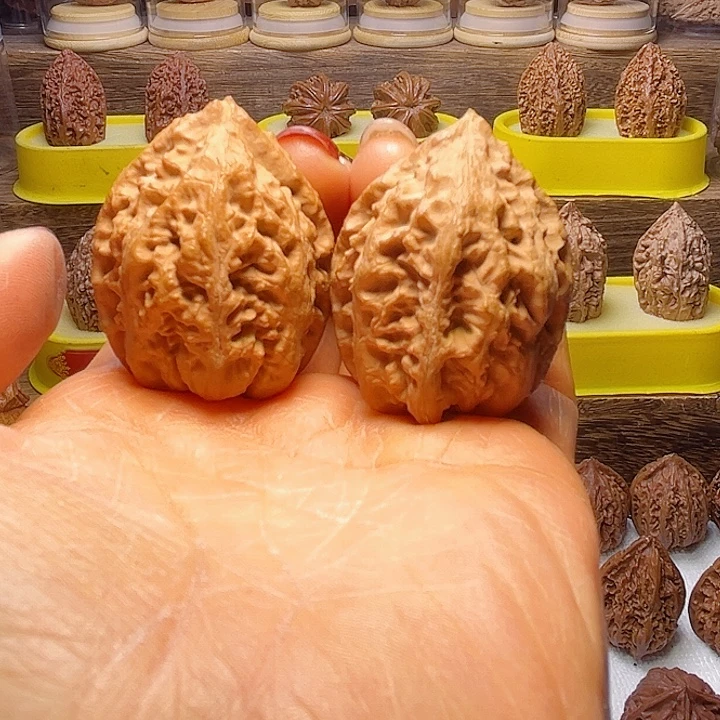 核桃3号车放漏漏漏