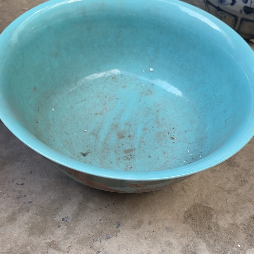 纯纯粹粹纯纯粹粹瓷瓷