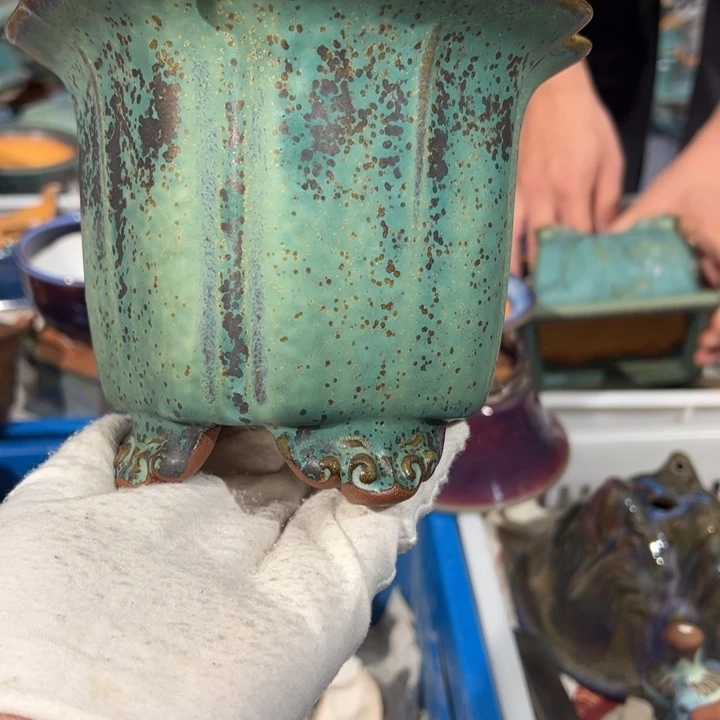 觉象花盆盆景盆栽
