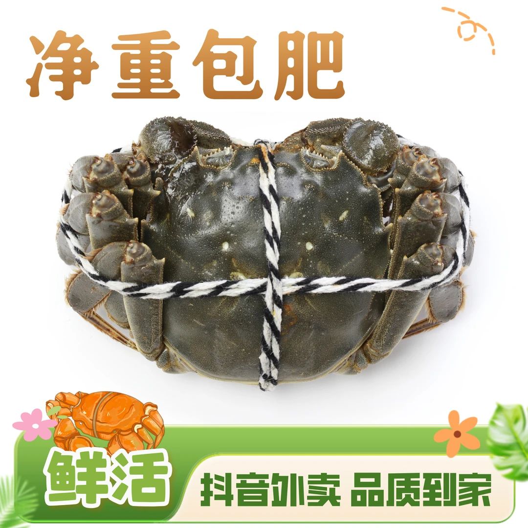 【活蟹包肥】大闸蟹母蟹1.5~1.8两 1只 去绳净重 无黄死蟹包赔
