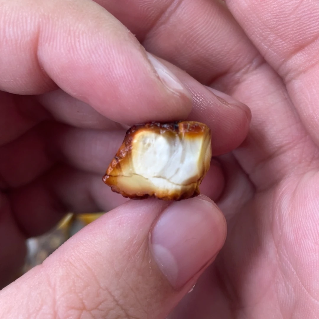 定制琥珀天然琥珀10老型