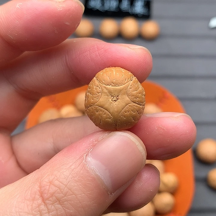 吊坠凤眼菩提18+五星，非质量问题开孔不退