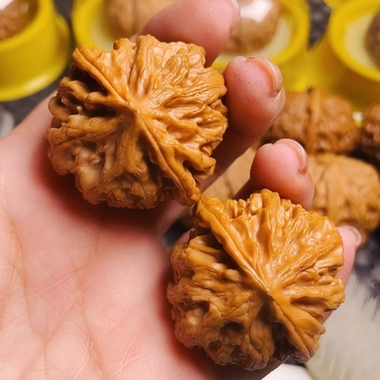 文玩核桃39尺雪龙粗筋
