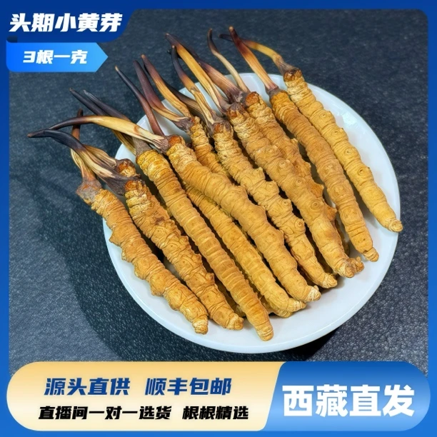 【3根/克】藏家兄弟 正宗西藏那曲比如高海拔冬虫夏草滋补自吃虫草