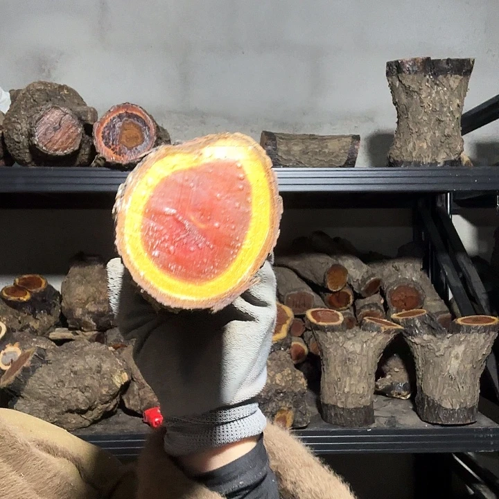 超***香榧木火琉璃的故事是一个