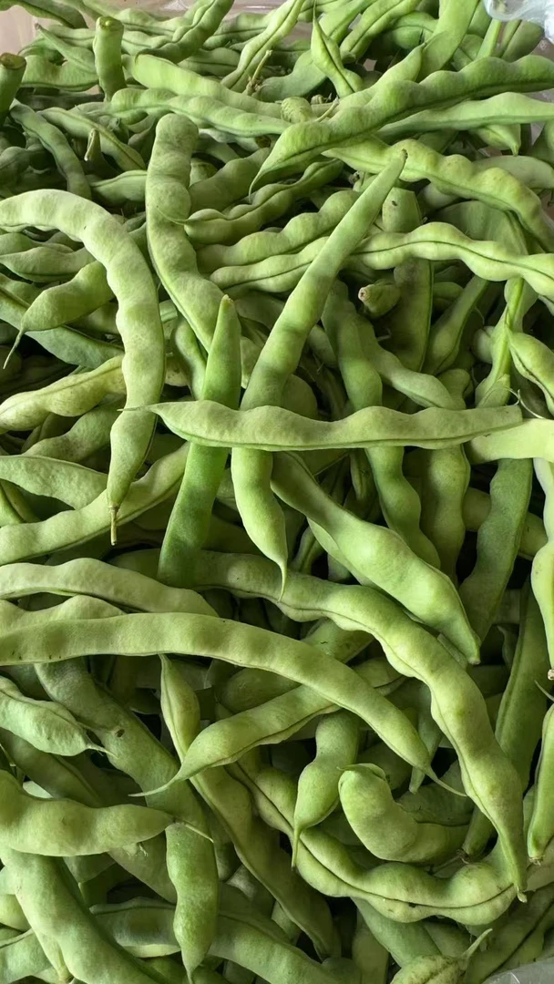 农家自种新鲜四季豆芸豆包邮