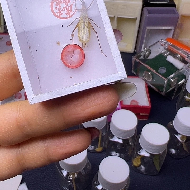 马***上哈哈哈哈哈哈哈哈哈哈哈哈哈哈