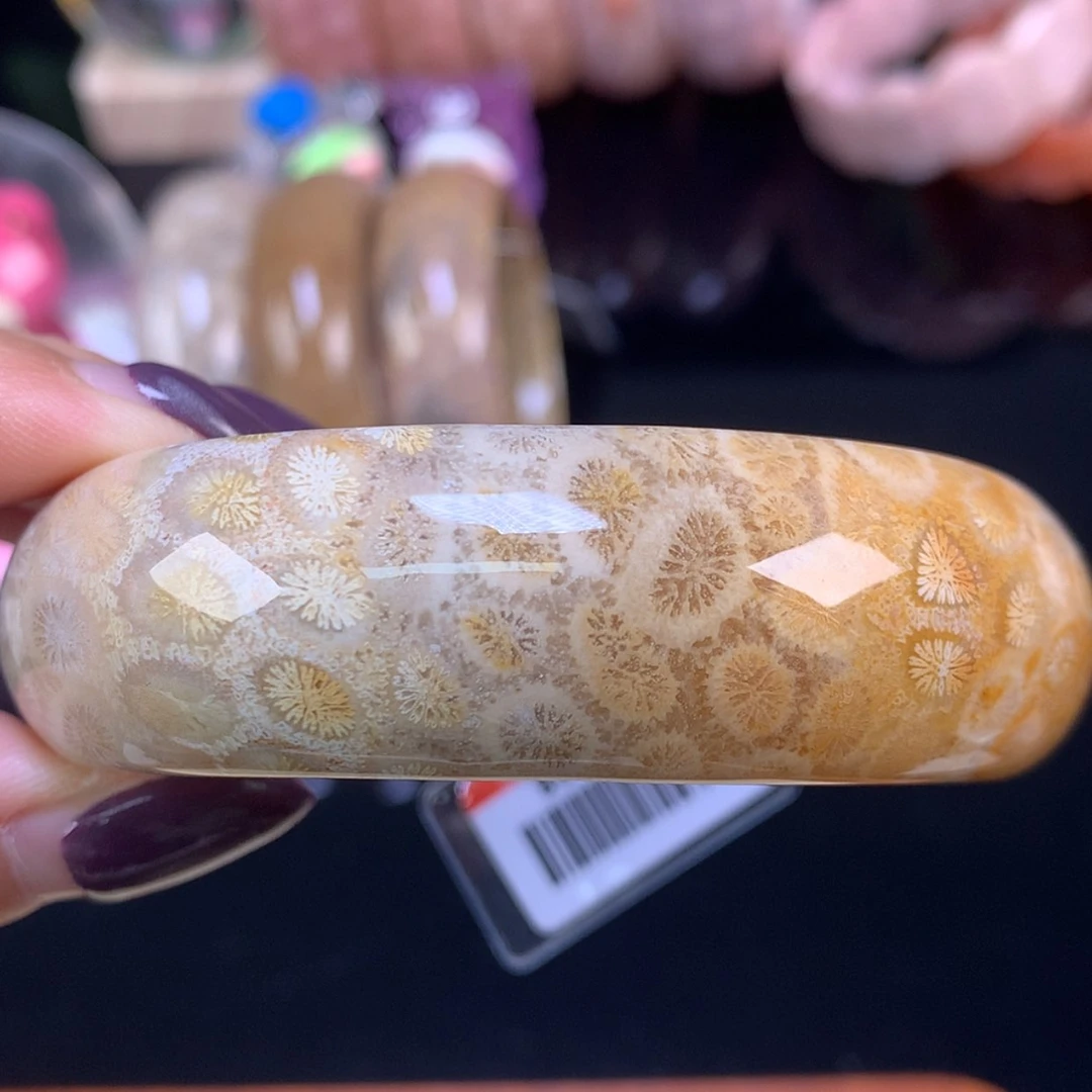 【闪购商品】颈饰未镶嵌硅化珊瑚（珊瑚玉）福利手镯60.4口（14号）