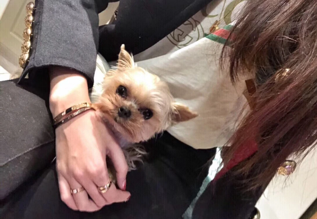 蛇骨专拍高端项链手链耳环福利款时尚百搭精美饰品