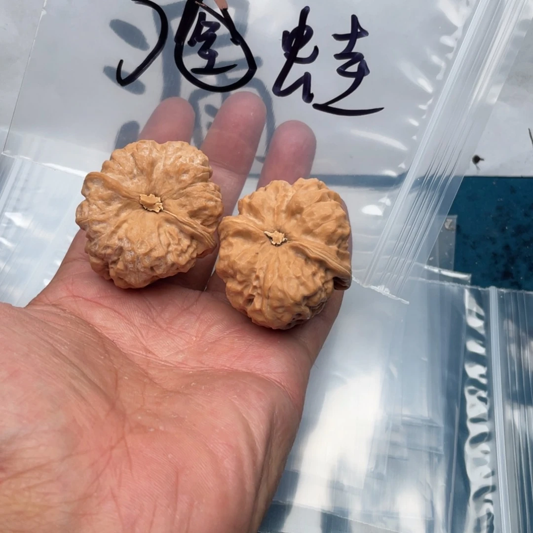 6I’m prototypes368358638