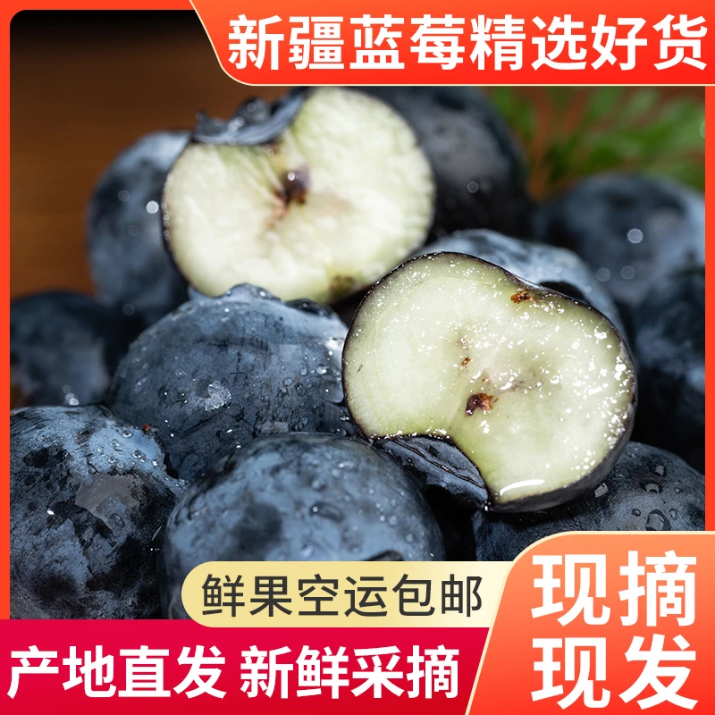 新疆喀什蓝莓特级果125g/盒