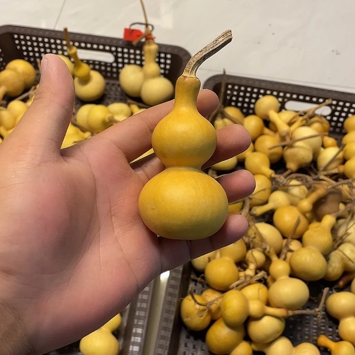 手***芦感谢大哥支持兄弟