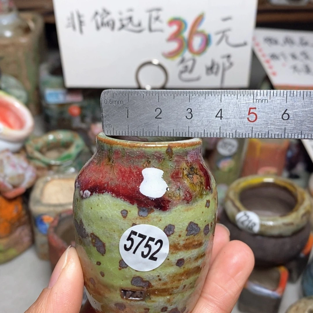 花盆拍5送一个小礼物
