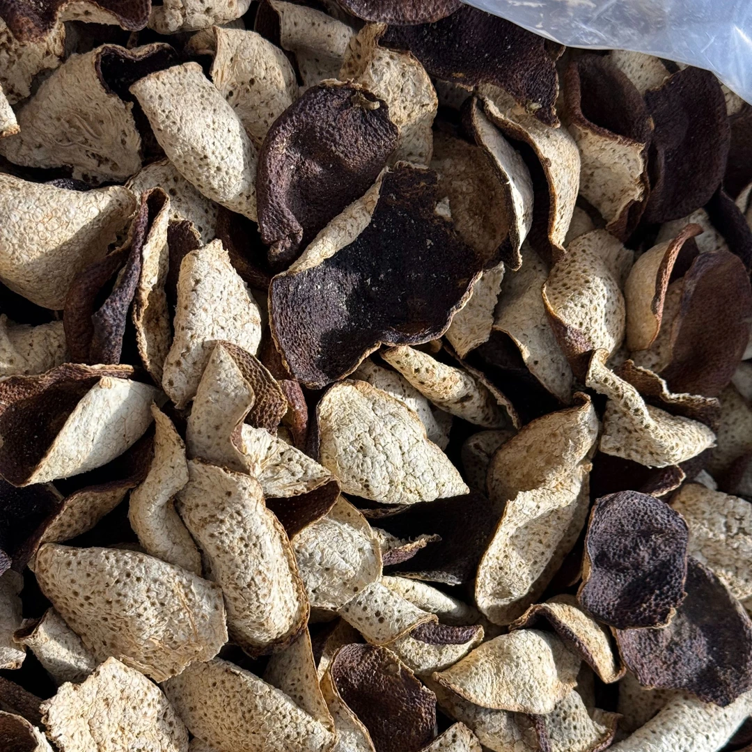 那-梅江陈皮单片-2021年