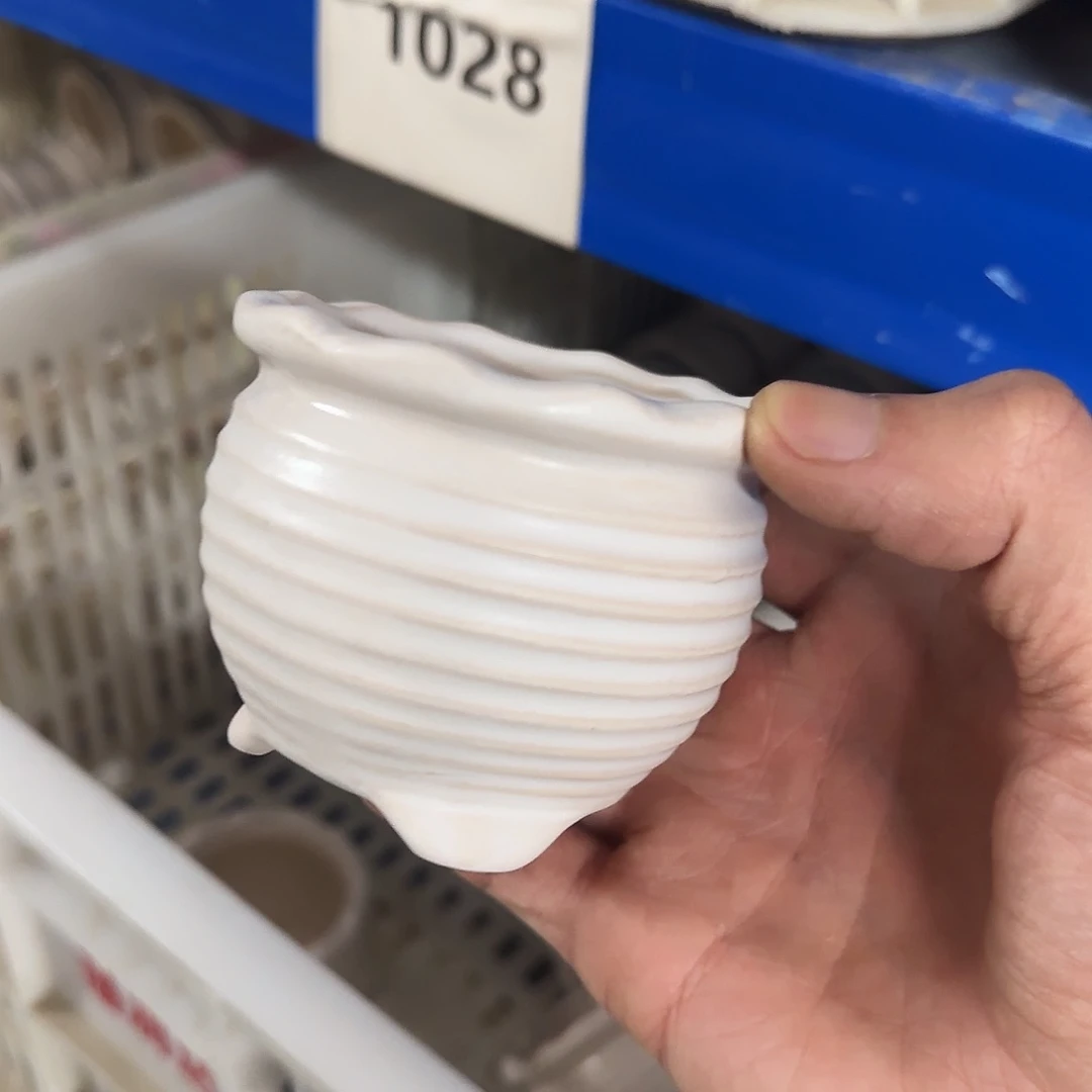 福利局绿植多肉盆［凑9元包邮24小时发］