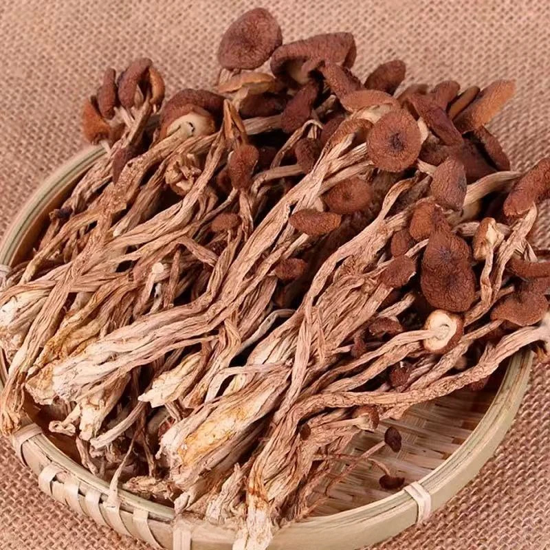 【阿豪甄选】十成干茶树菇