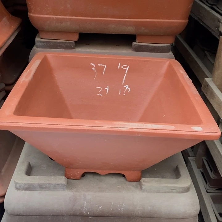 紫砂花盆只顾在你身上