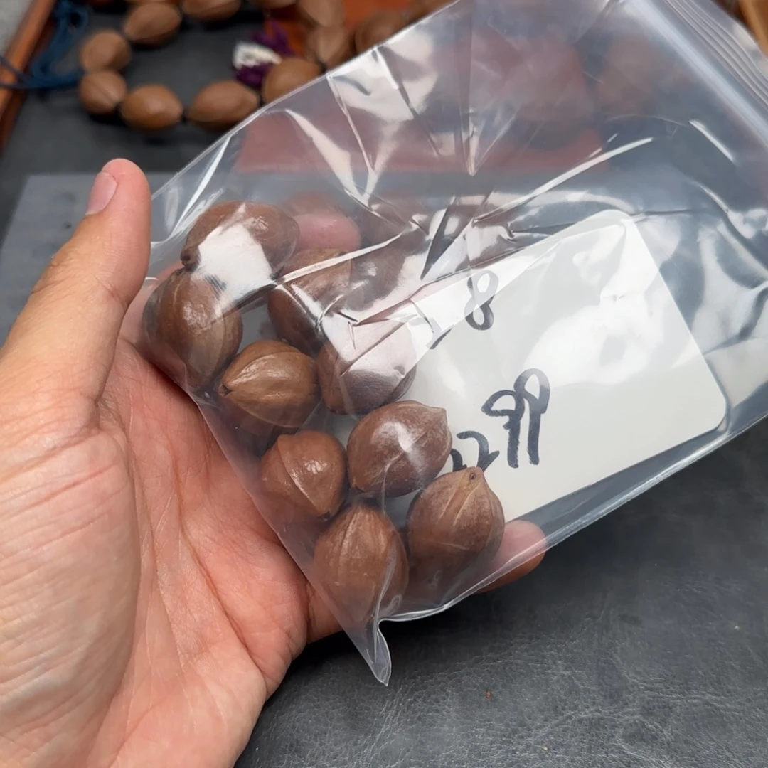 橄榄核手串爱***猪2.1✖️2.8头货10颗