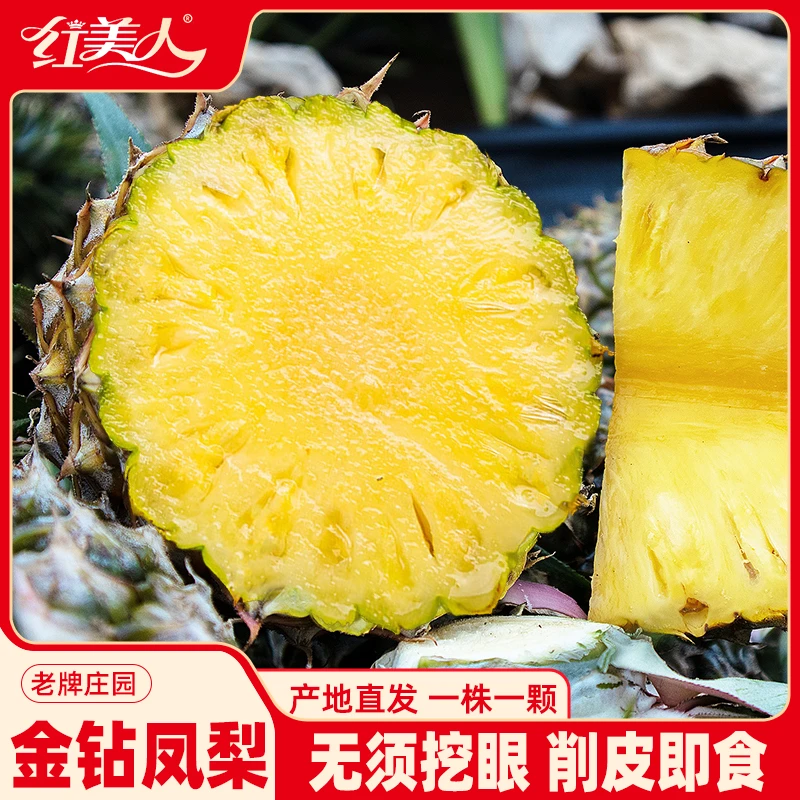 海南金钻凤梨 新鲜香水菠萝当季手撕风梨特产无眼中大果凤梨