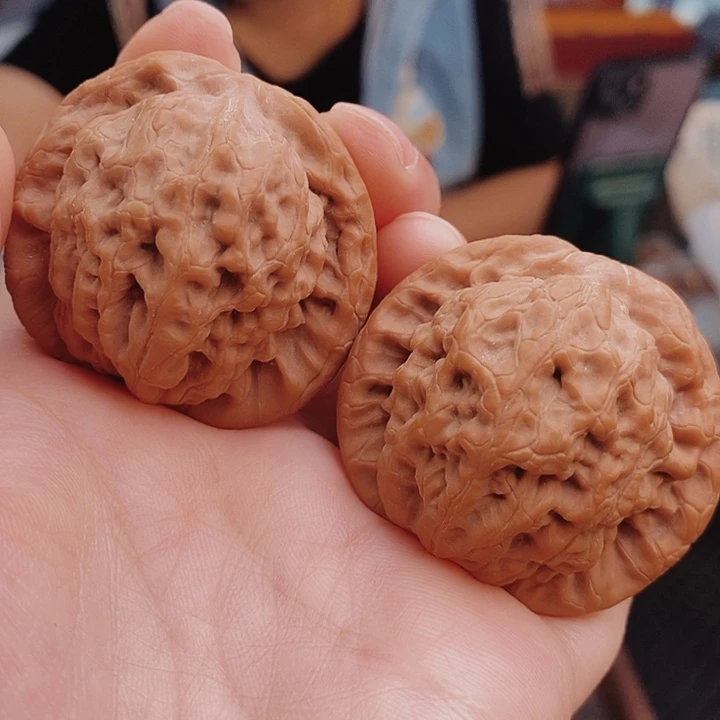 核桃43尺金公子核桃