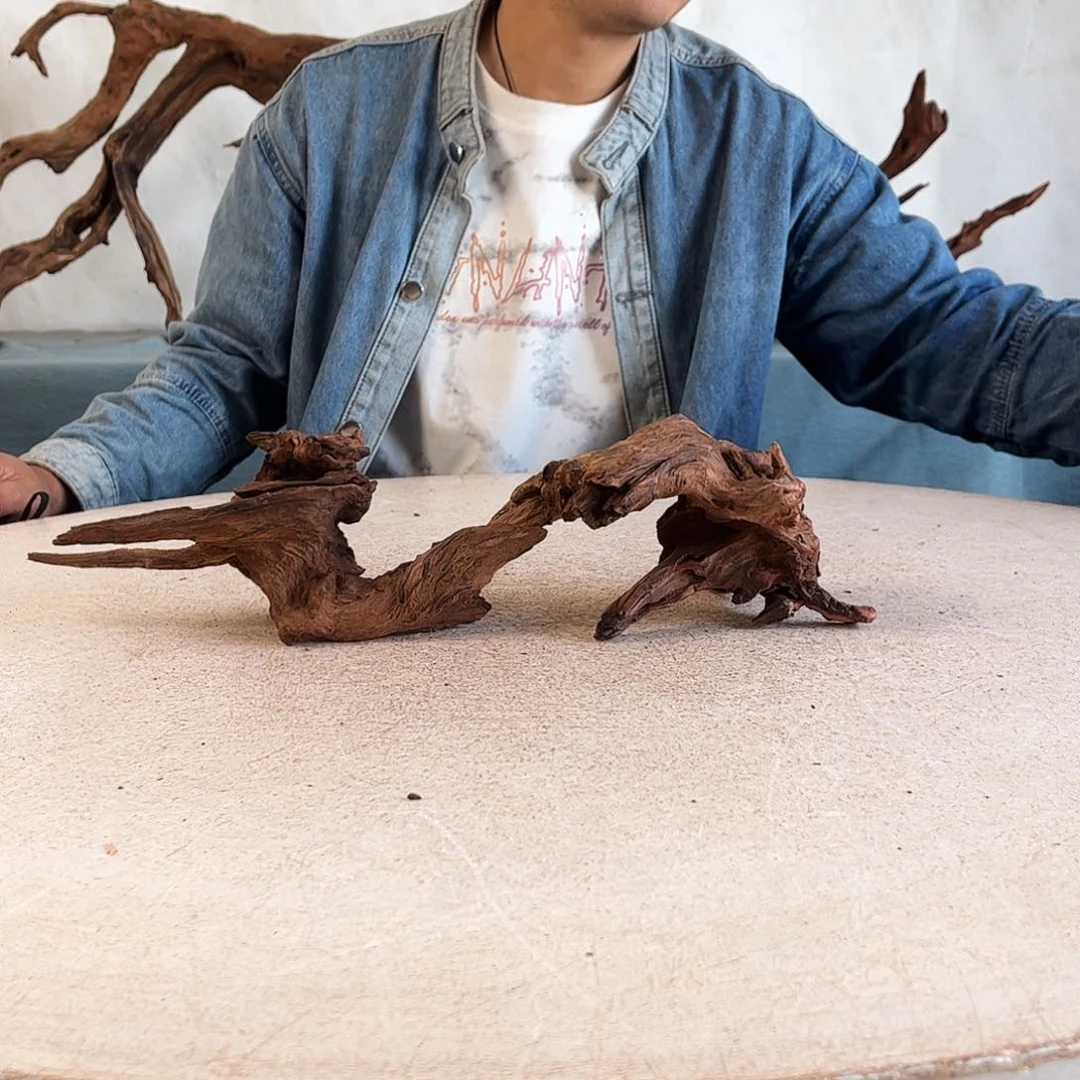 沉木造景爬宠造景