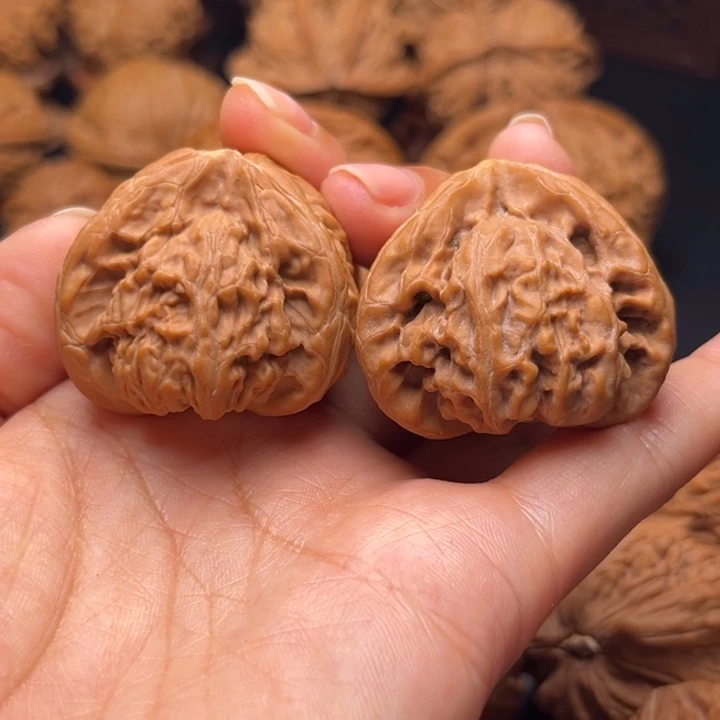義****宫灯小兔子核桃哈哈哈哈哈哈哈
