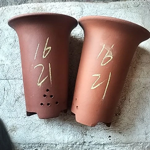 小红兰花两个微瑕